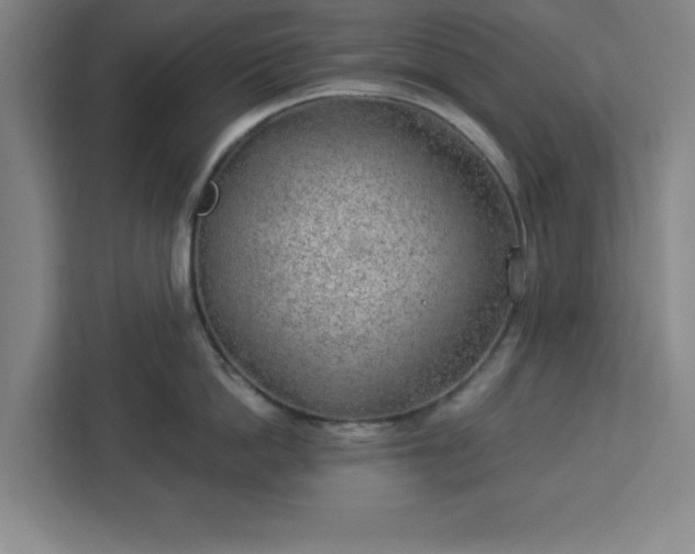 X0000112920862200908311256