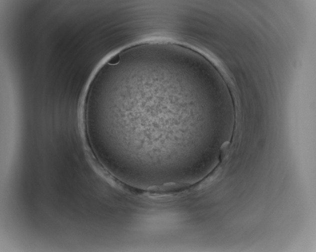 X0000112920864200908311256