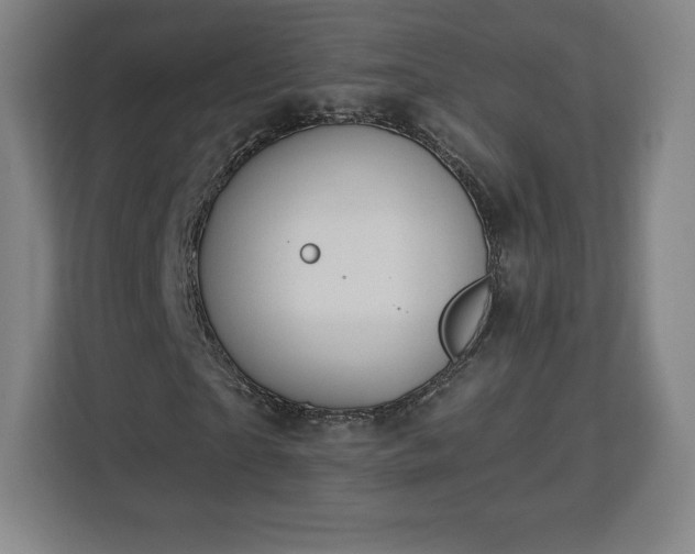 X0000112920865200908311255