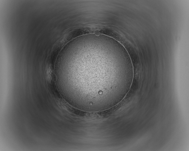 X0000112920866200908311255