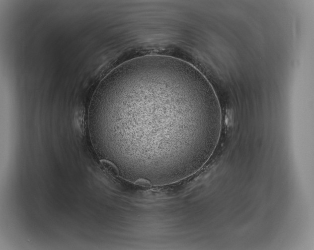 X0000112920867200908311255