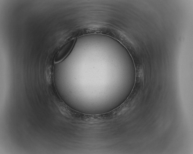X0000112920868200908311255