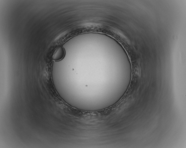 X0000112920869200908311255