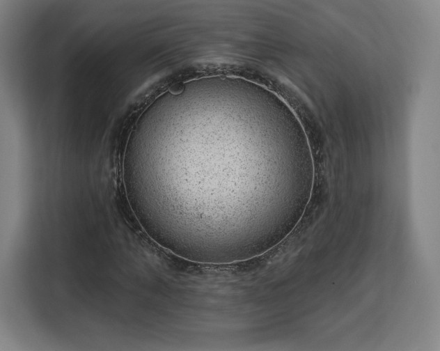 X0000112920870200908311255