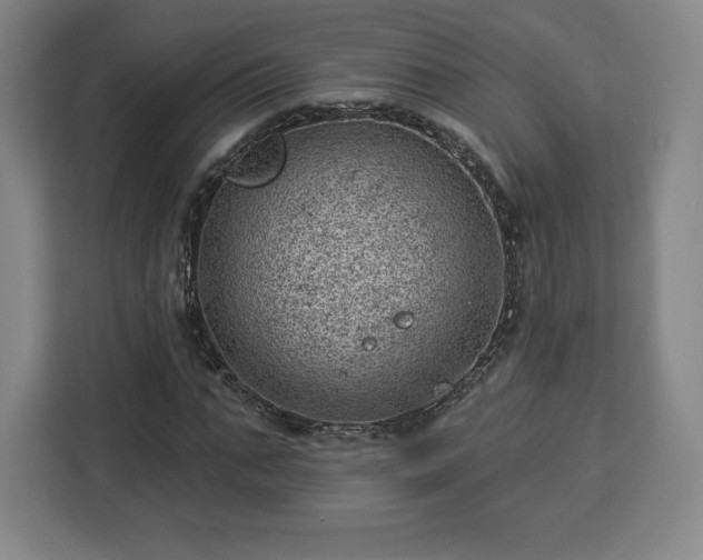 X0000112920871200908311255