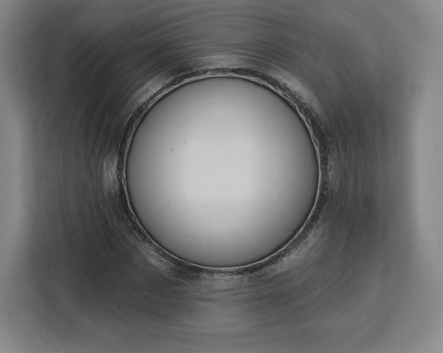 X0000112920873200908311255