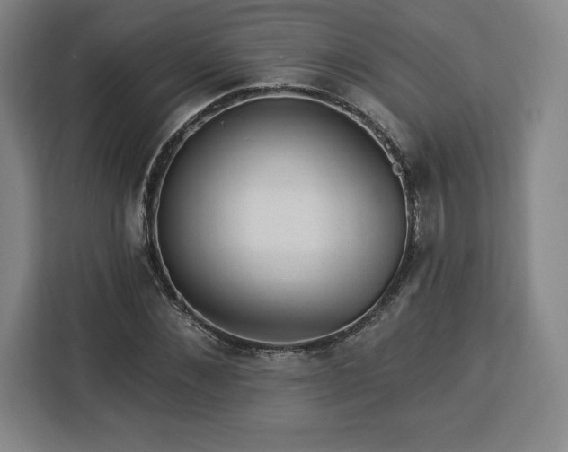 X0000112920876200908311255
