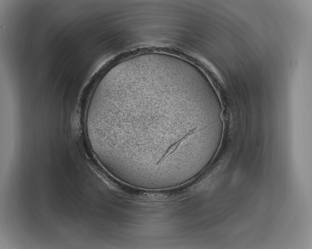 X0000112920878200908311255
