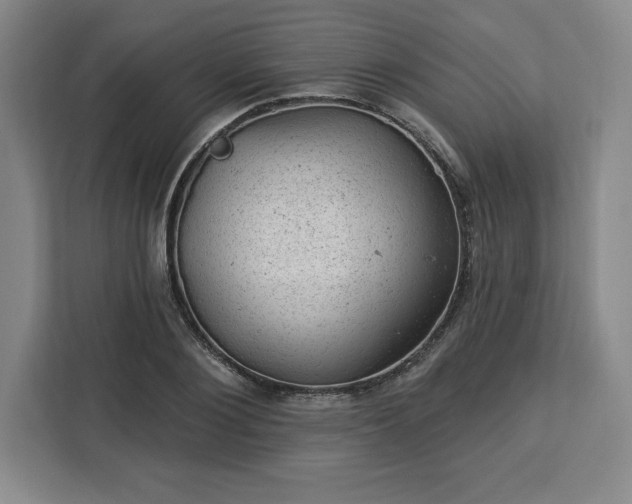 X0000112920884200908311255