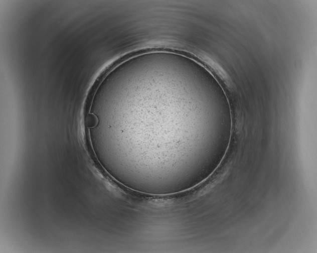 X0000112920888200908311255