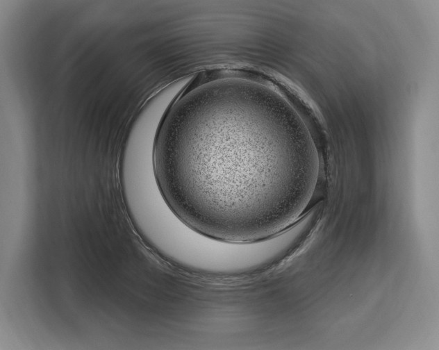 X0000112920889200908311255