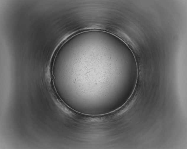 X0000112920892200908311255