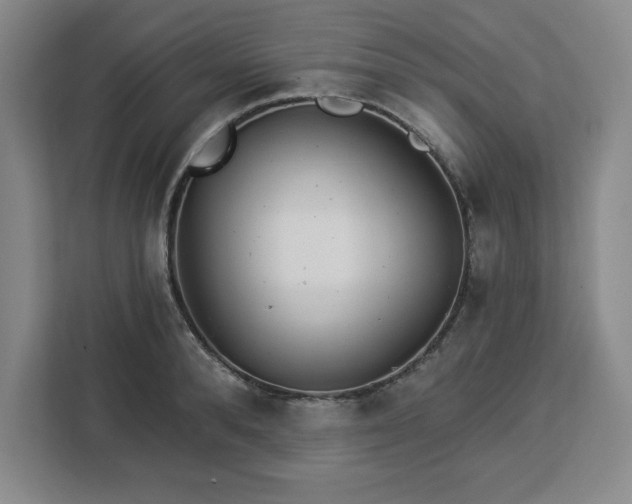 X0000112920896200908311255
