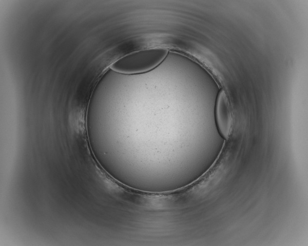 X0000112920897200908311255