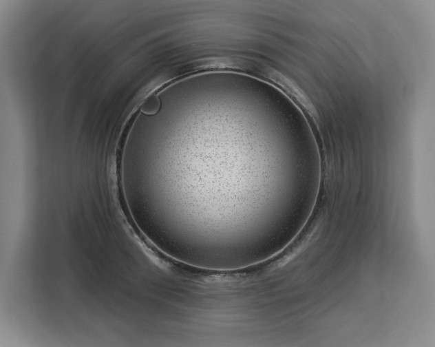 X0000112920898200908311255