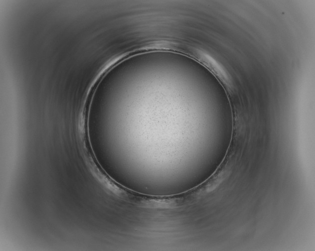 X0000112920900200908311255