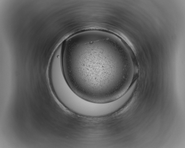X0000112920901200908311255