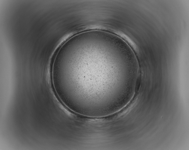 X0000112920902200908311255