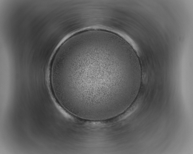 X0000112920903200908311255