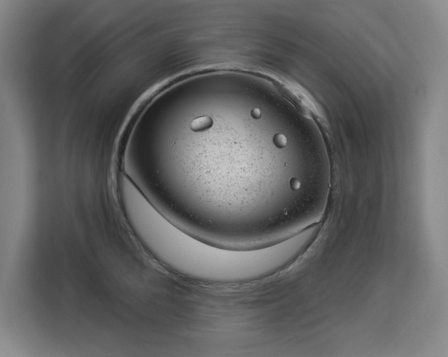 X0000112920904200908311255