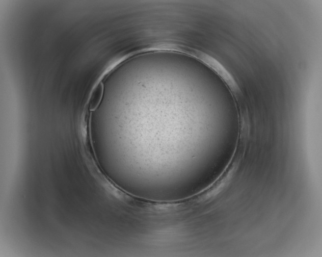 X0000112920908200908311255