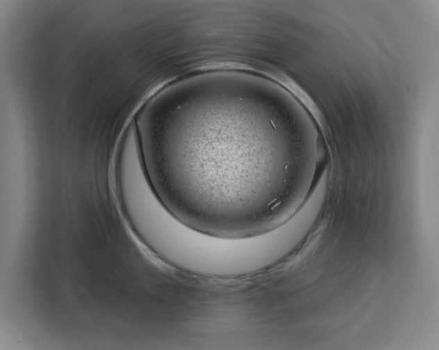 X0000112920909200908311255