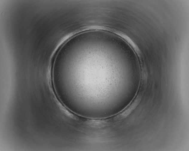 X0000112920910200908311254