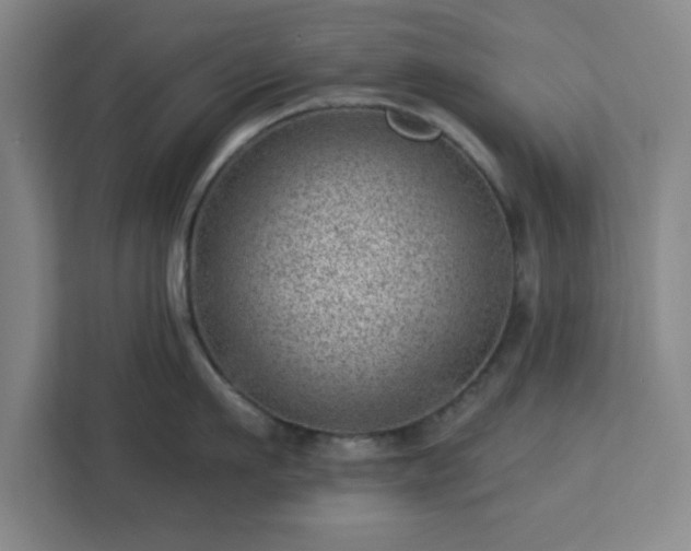 X0000112920911200908311254