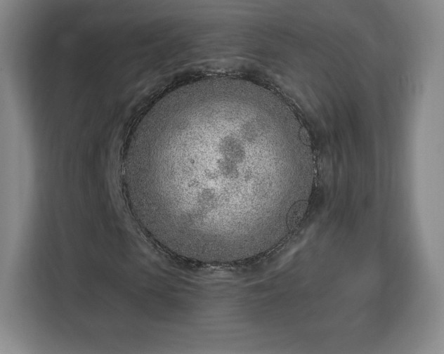 X0000112920913200908311254