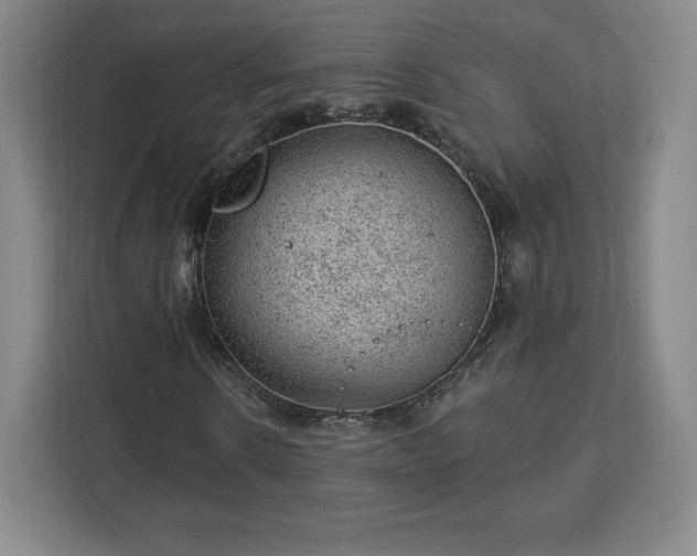X0000112920914200908311254