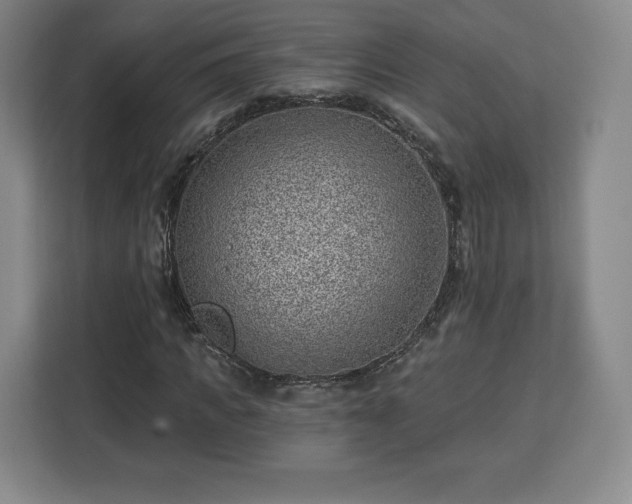 X0000112920917200908311254