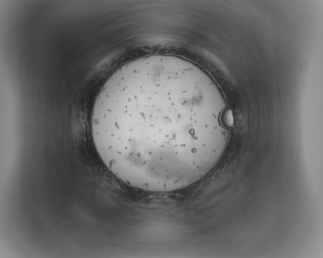 X0000112920918200908311254