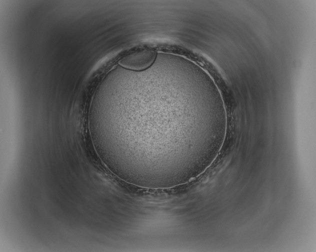 X0000112920919200908311254