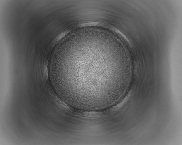 X0000112920921200908311254