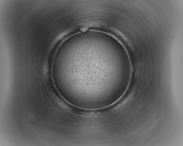 X0000112920922200908311254