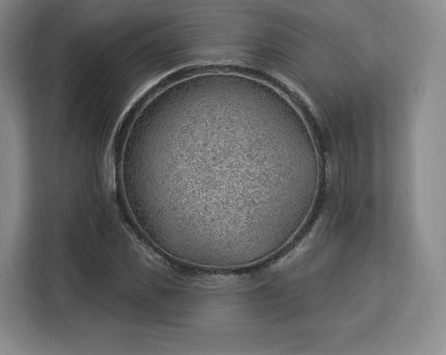 X0000112920925200908311254