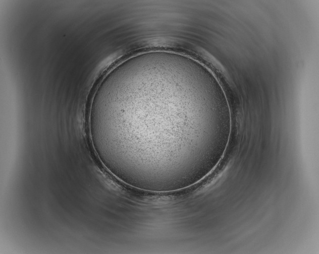 X0000112920930200908311254