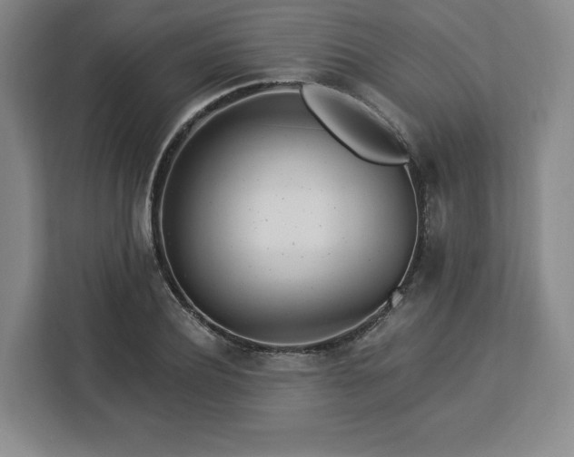 X0000112920932200908311254