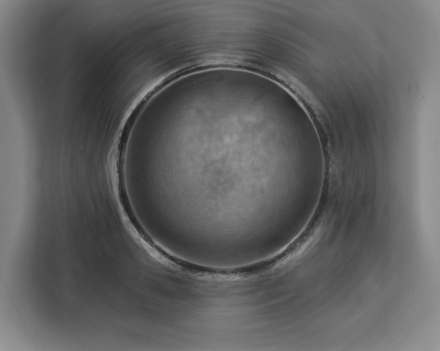 X0000112920941200908311254