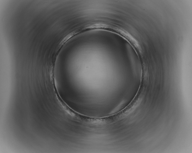 X0000112920945200908311254