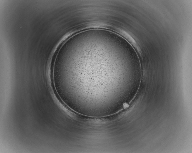 X0000112920947200908311254