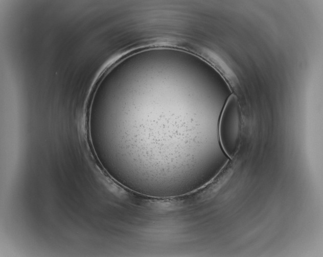 X0000112920948200908311254
