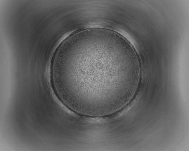 X0000112920949200908311254