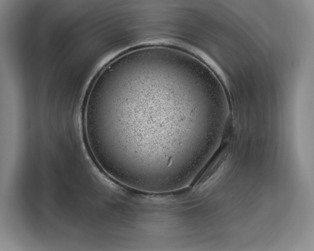 X0000112920951200908311254
