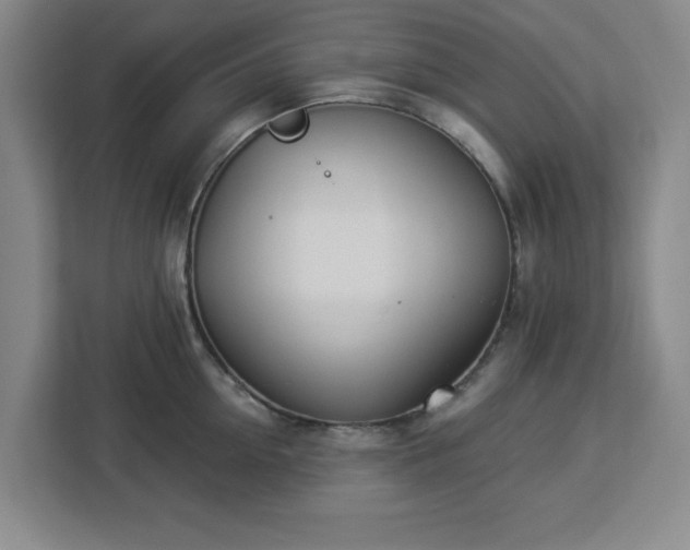 X0000112920954200908311254