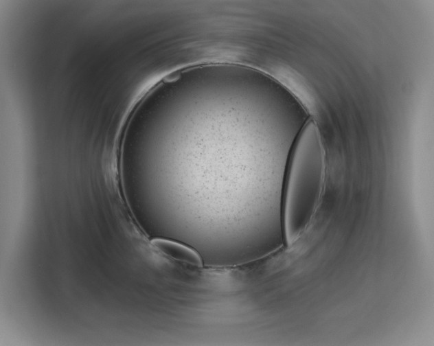 X0000112920956200908311254