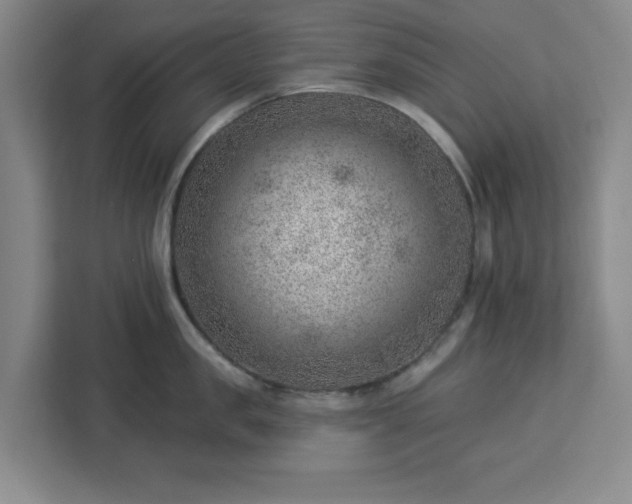 X0000112920957200908311254