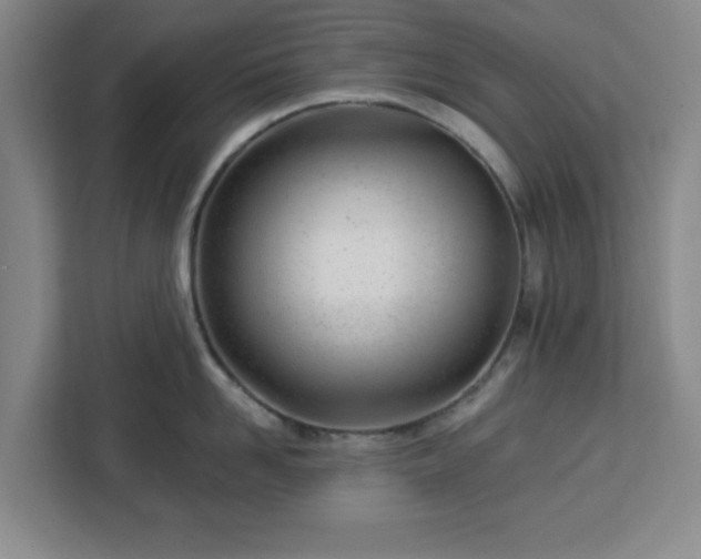 X0000112920958200908311254