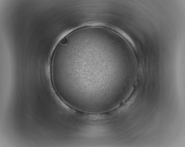 X0000112920959200908311254