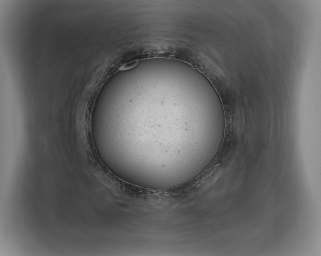 X0000112920961200908311254